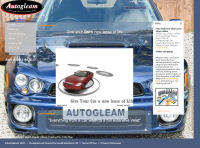 Polished Cars for a polished web site